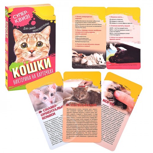 Кошки (викторина на карточках). Суперквиз!