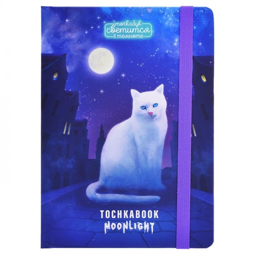 Точкабук. Кошка в ночном городе. выб.лак светящийся в темноте