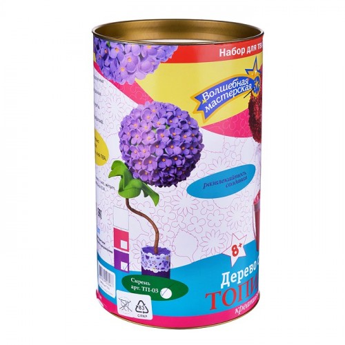 Набор для творчества топиарий 