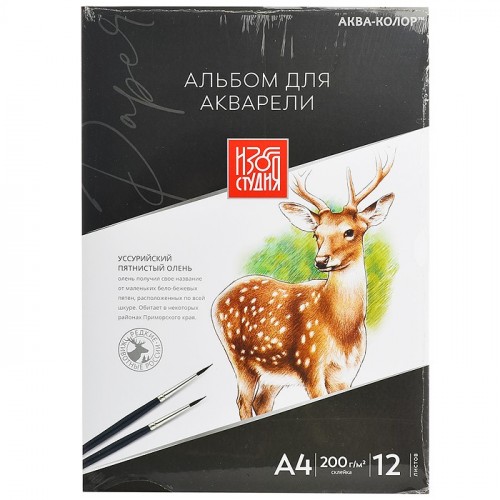 Альбом для акварели  200 г/м2  А4  30 х 21 см,  склейка с трех сторон, 12 л. гознак тисненая, 
