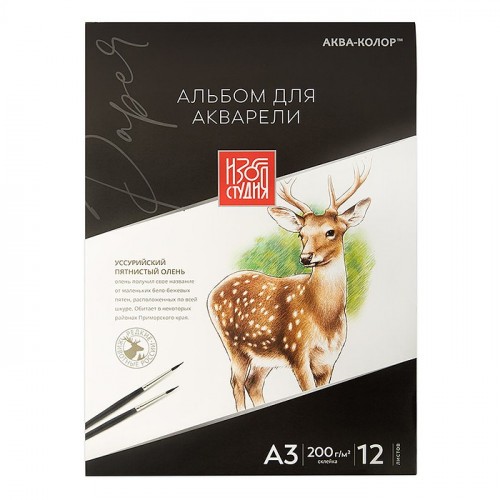 Альбом для акварели 200 г/м2  А3   30 х  40 см, склейка с трех сторон, 12 л. гознак тисненая, 