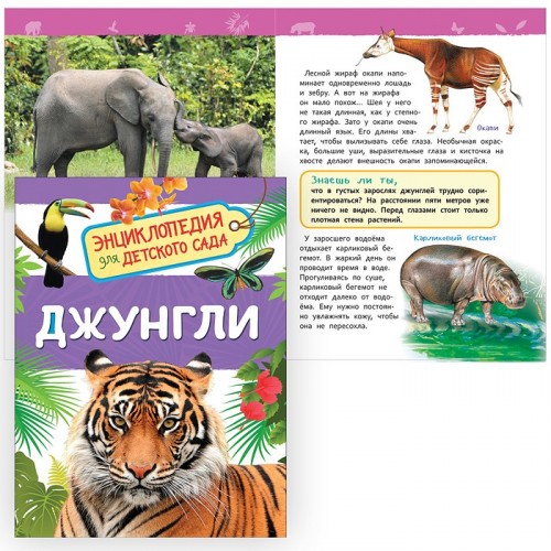 Джунгли (Энциклопедия для детского сада)