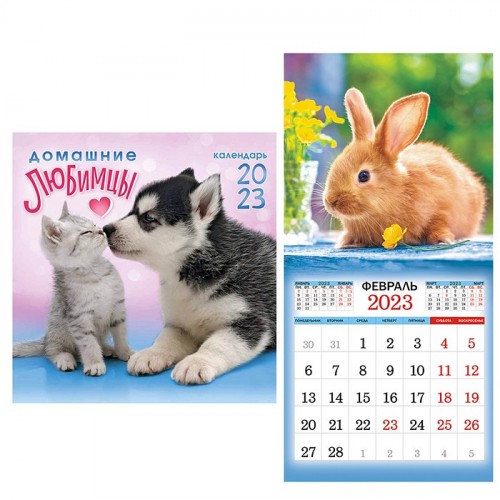 Календарь  ПК Домашние любимцы